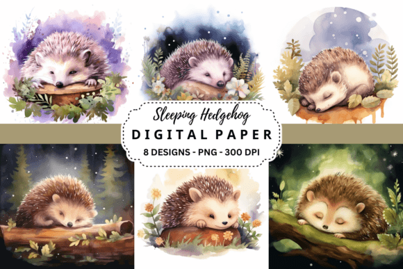 Adorable Charm: Integrating Sleeping Hedgehog Backgrounds Into Your Work